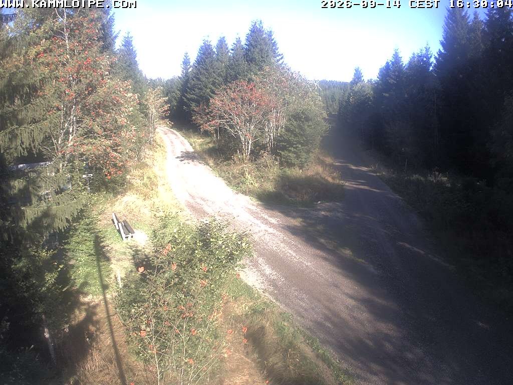 Archiv Foto Webcam Schutzhütte Teichhäusel