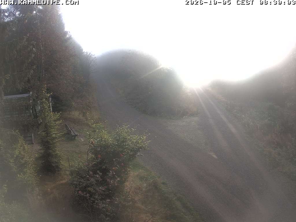 Archiv Foto Webcam Schutzhütte Teichhäusel