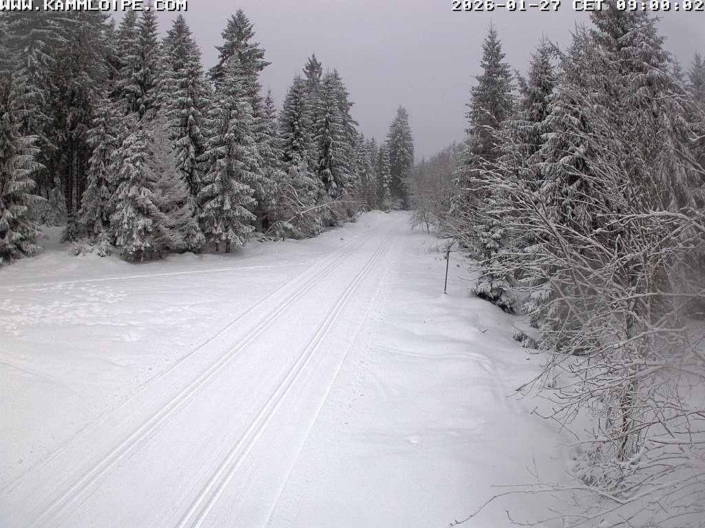 Archived image Webcam Flössweg Carlsfeld