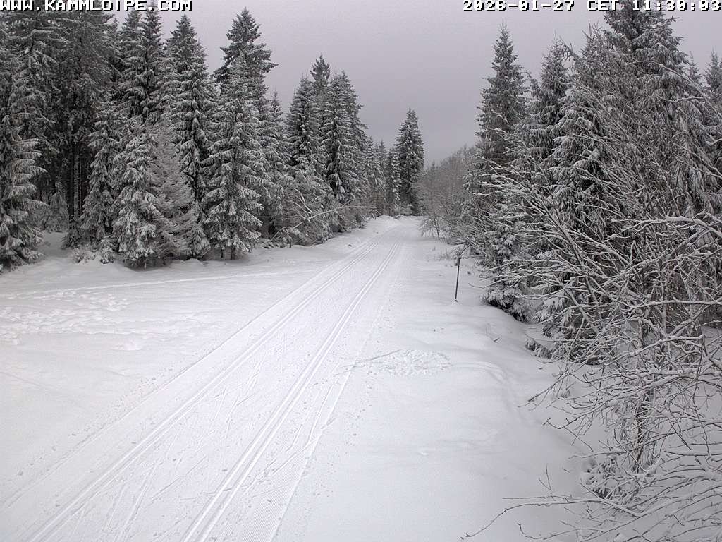 Archiv Foto Webcam Talsperre Carlsfeld