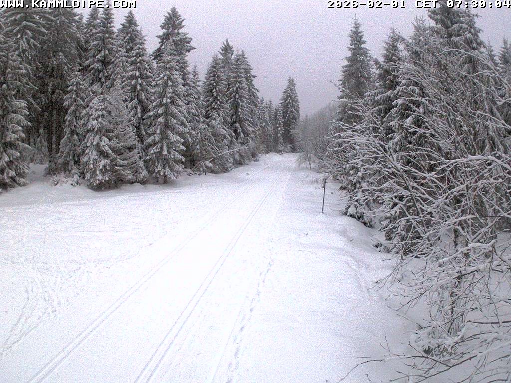 Archiv Foto Webcam Talsperre Carlsfeld