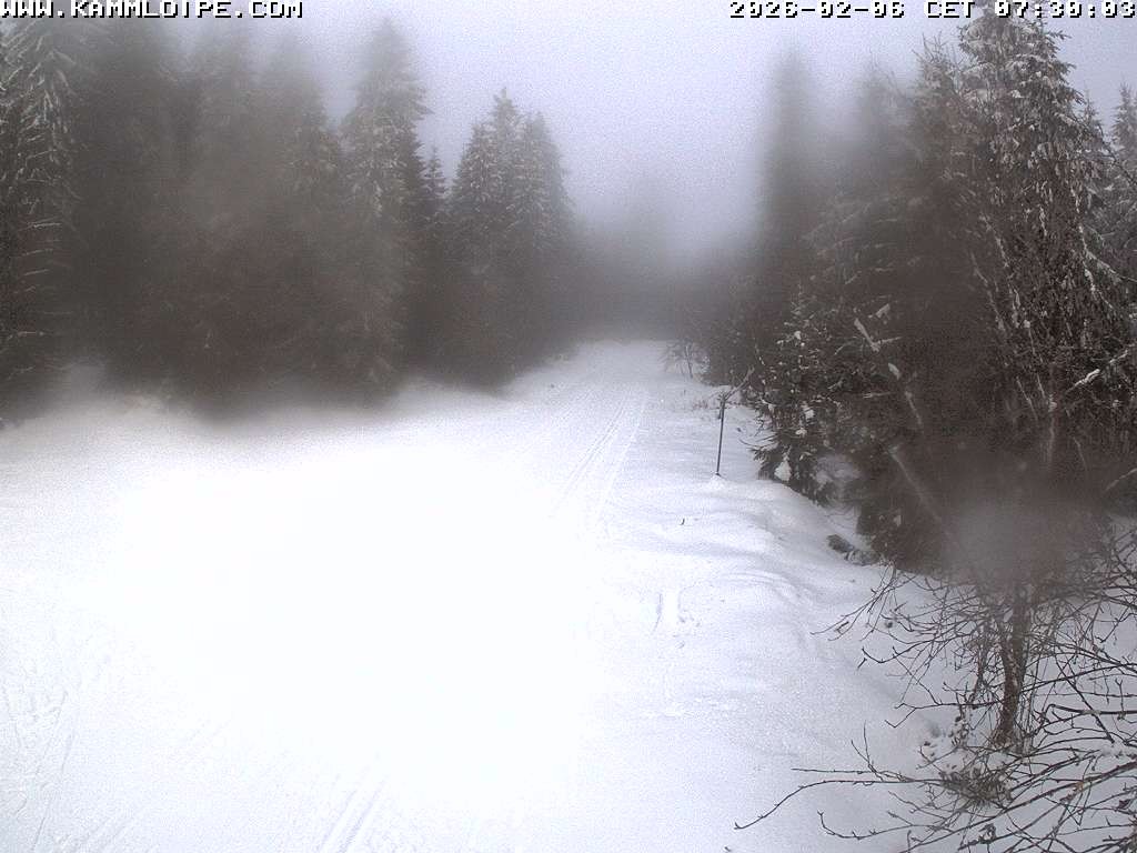 Archiv Foto Webcam Talsperre Carlsfeld