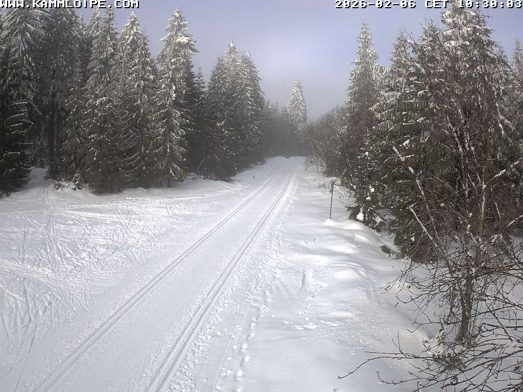 Archiv Foto Webcam Talsperre Carlsfeld