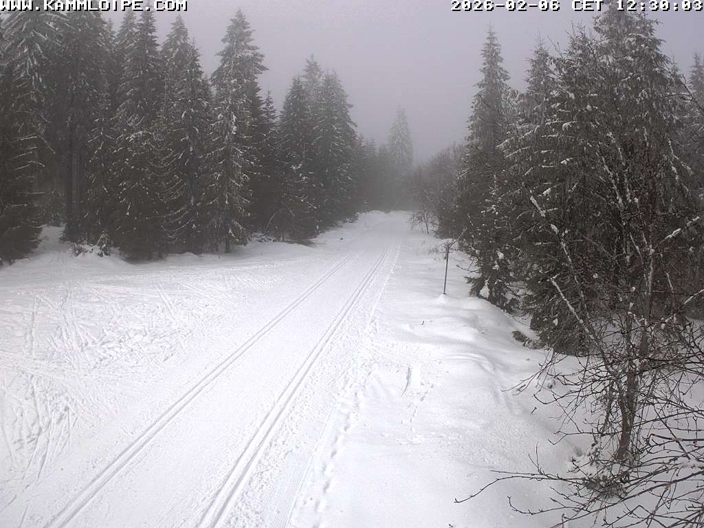 Archiv Foto Webcam Talsperre Carlsfeld