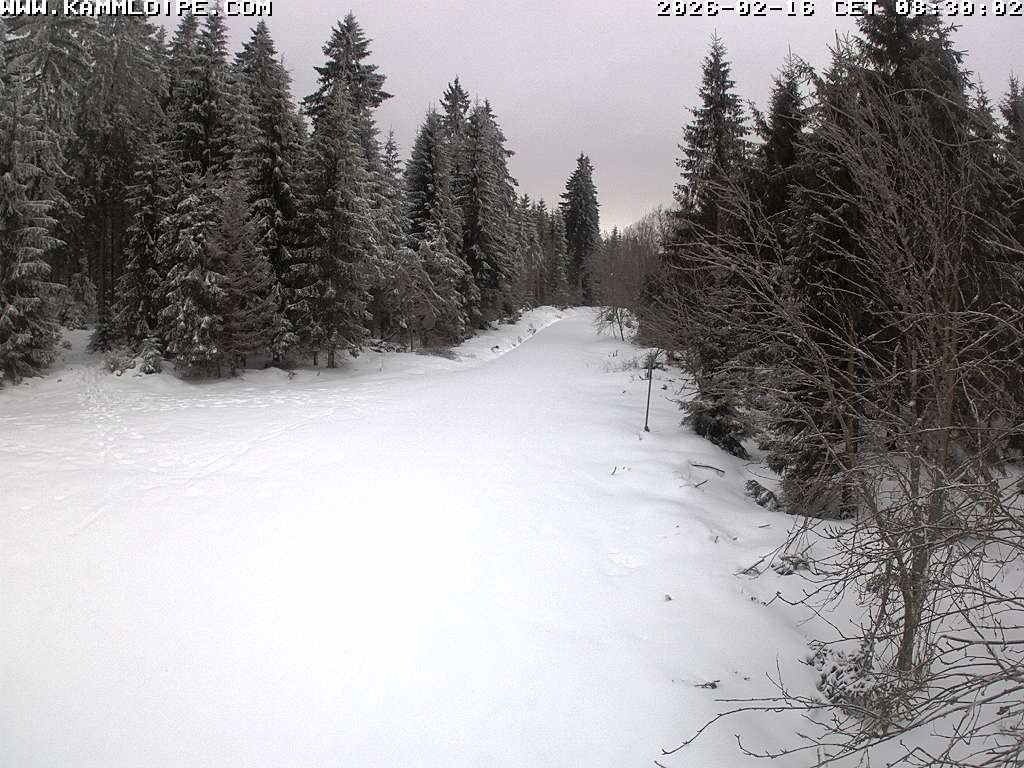 Archiv Foto Webcam Talsperre Carlsfeld