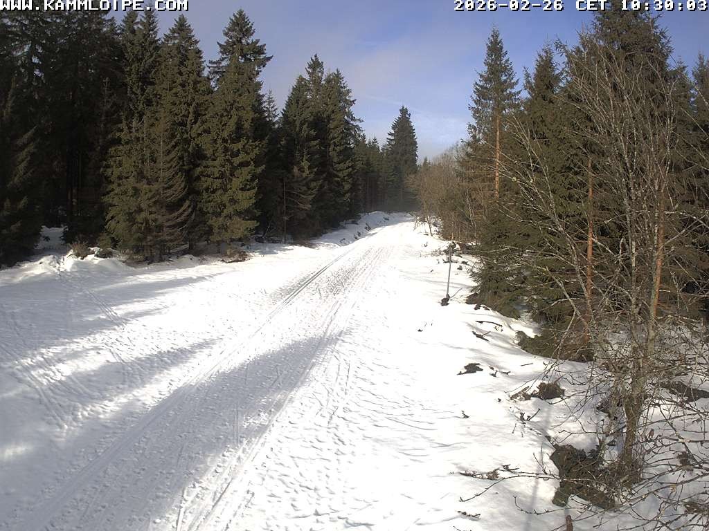 Archived image Webcam Flössweg Carlsfeld