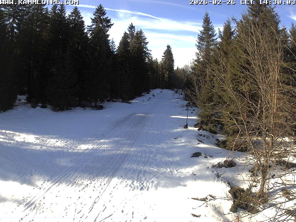 Archived image Webcam Flössweg Carlsfeld