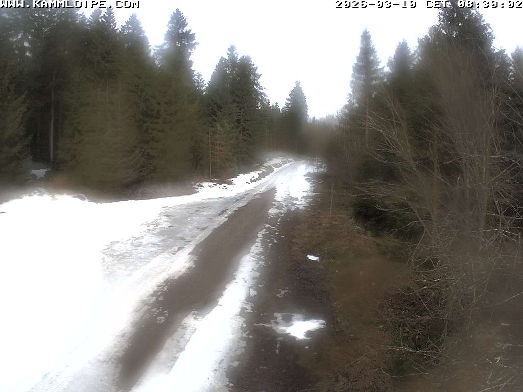 Archiv Foto Webcam Talsperre Carlsfeld