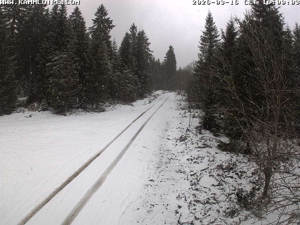 Archived image Webcam Flössweg Carlsfeld