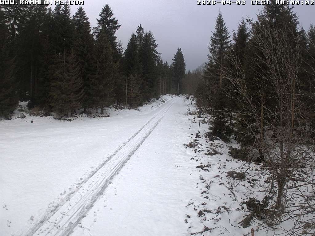 Archiv Foto Webcam Talsperre Carlsfeld