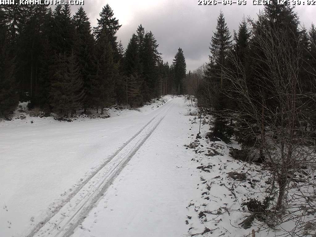 Archiv Foto Webcam Talsperre Carlsfeld