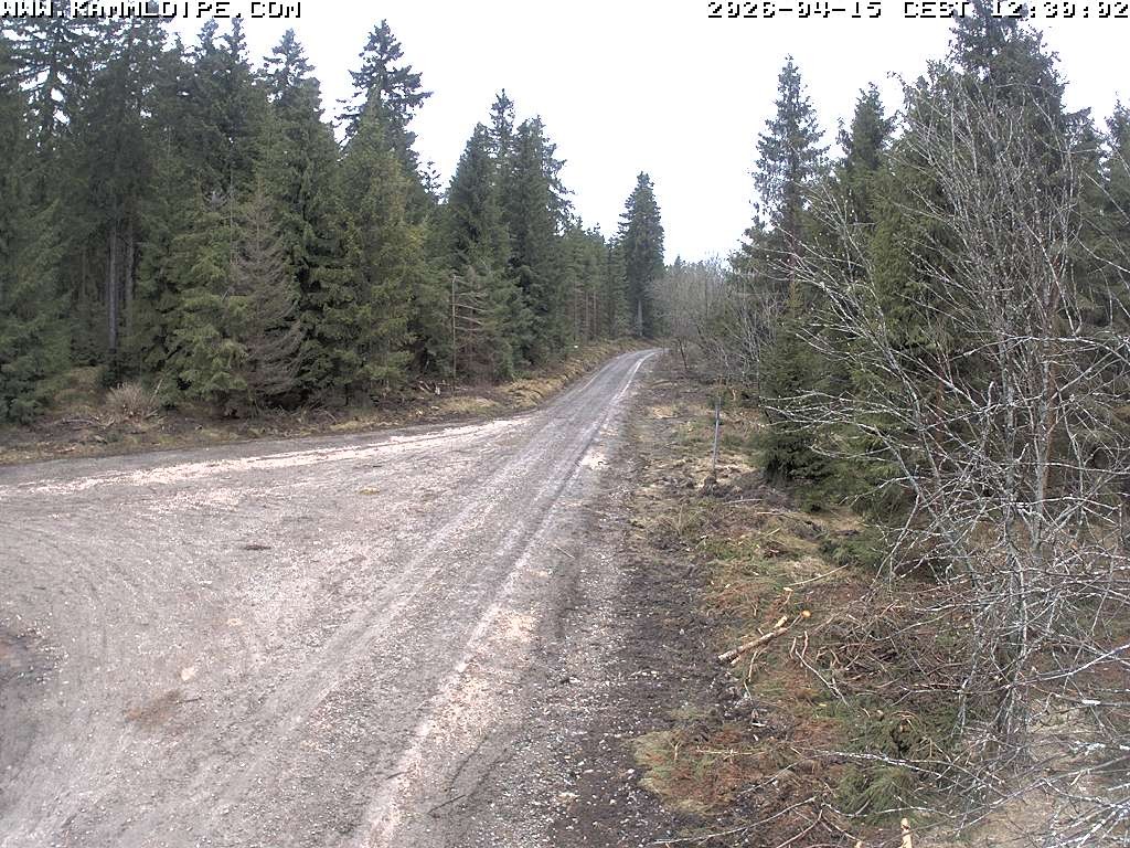 Archiv Foto Webcam Talsperre Carlsfeld