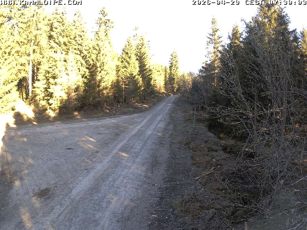 Archived image Webcam Flössweg Carlsfeld