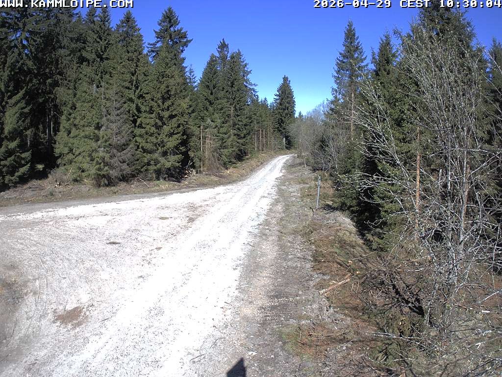 Archived image Webcam Flössweg Carlsfeld