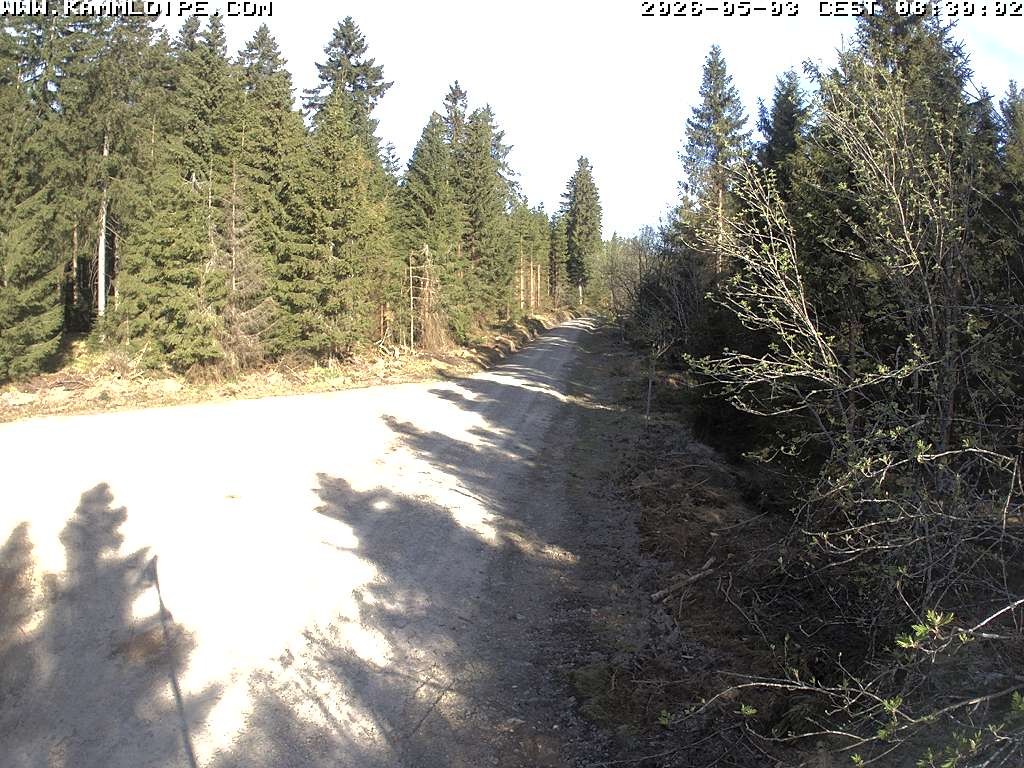 Archived image Webcam Flössweg Carlsfeld