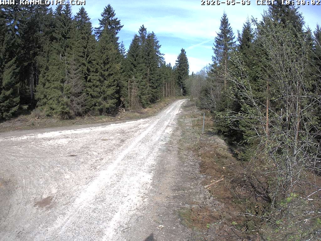 Archived image Webcam Flössweg Carlsfeld