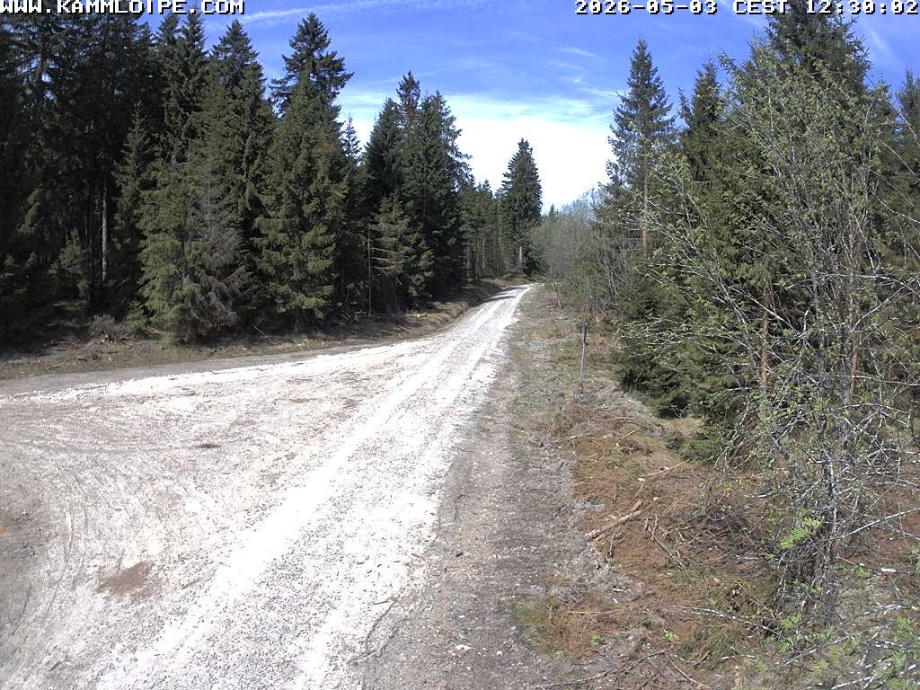 Archived image Webcam Flössweg Carlsfeld