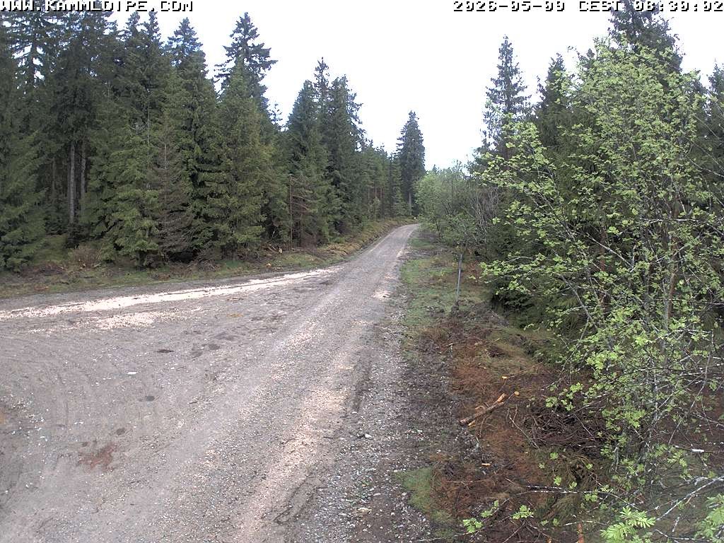 Archiv Foto Webcam Talsperre Carlsfeld