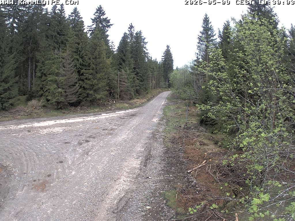 Archiv Foto Webcam Talsperre Carlsfeld