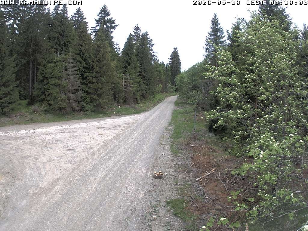 Archiv Foto Webcam Talsperre Carlsfeld