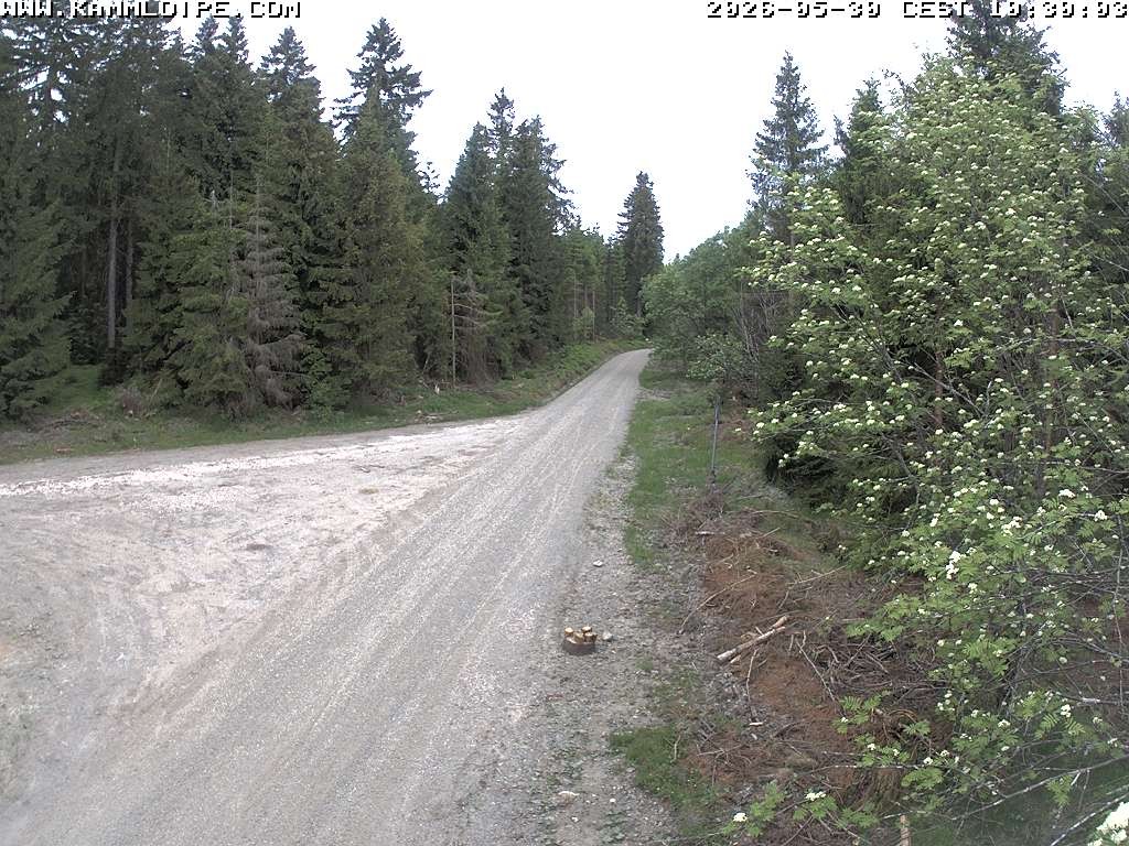 Archiv Foto Webcam Talsperre Carlsfeld