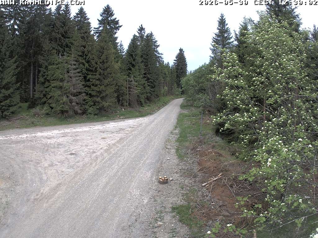 Archiv Foto Webcam Talsperre Carlsfeld