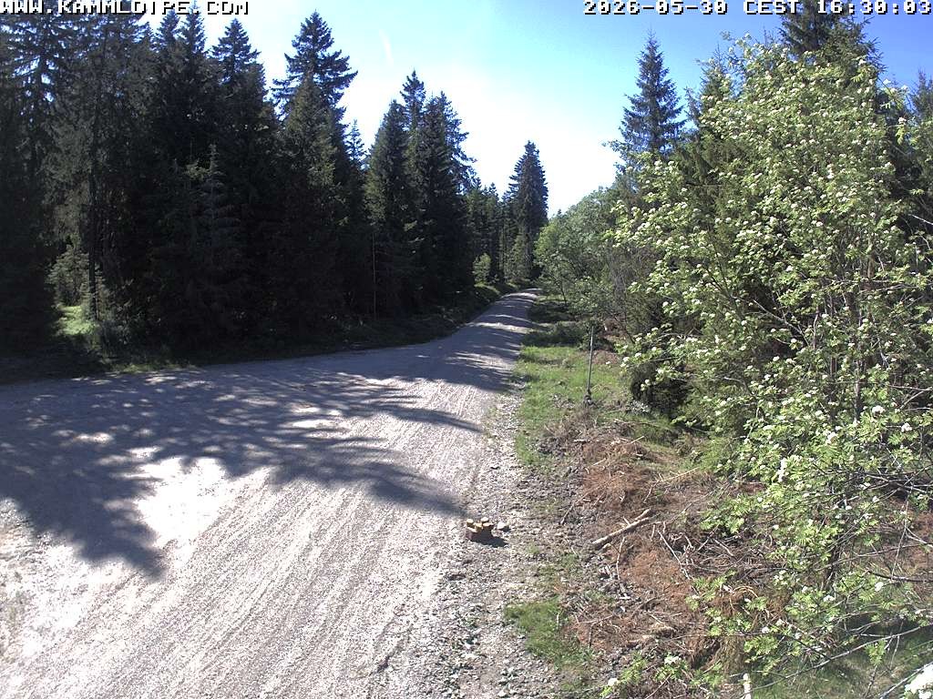 Archiv Foto Webcam Talsperre Carlsfeld