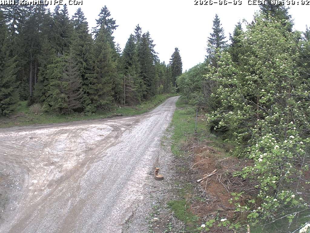 Archiv Foto Webcam Talsperre Carlsfeld