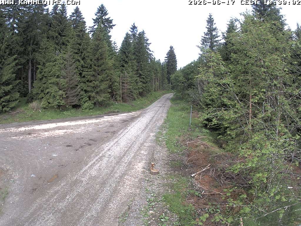 Archiv Foto Webcam Talsperre Carlsfeld