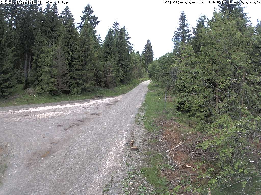 Archiv Foto Webcam Talsperre Carlsfeld