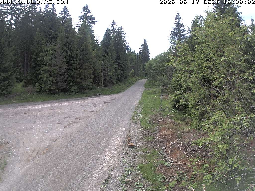Archiv Foto Webcam Talsperre Carlsfeld