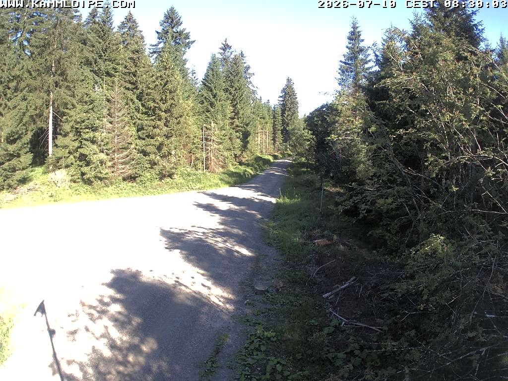 Archiv Foto Webcam Talsperre Carlsfeld