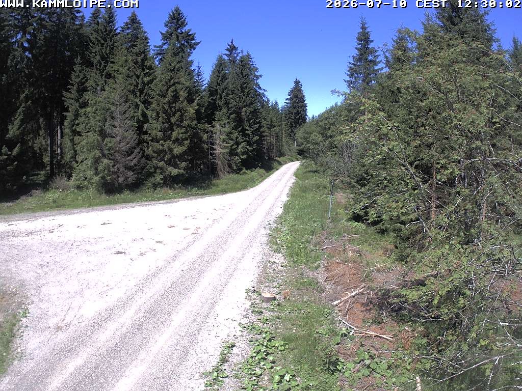Archiv Foto Webcam Talsperre Carlsfeld