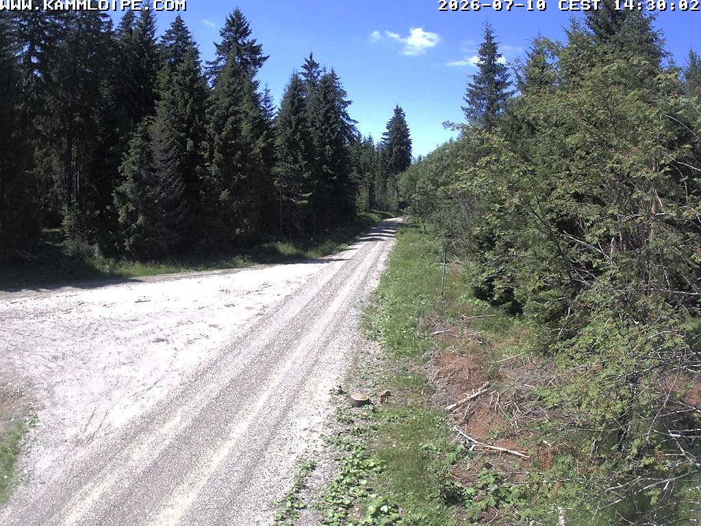Archiv Foto Webcam Talsperre Carlsfeld