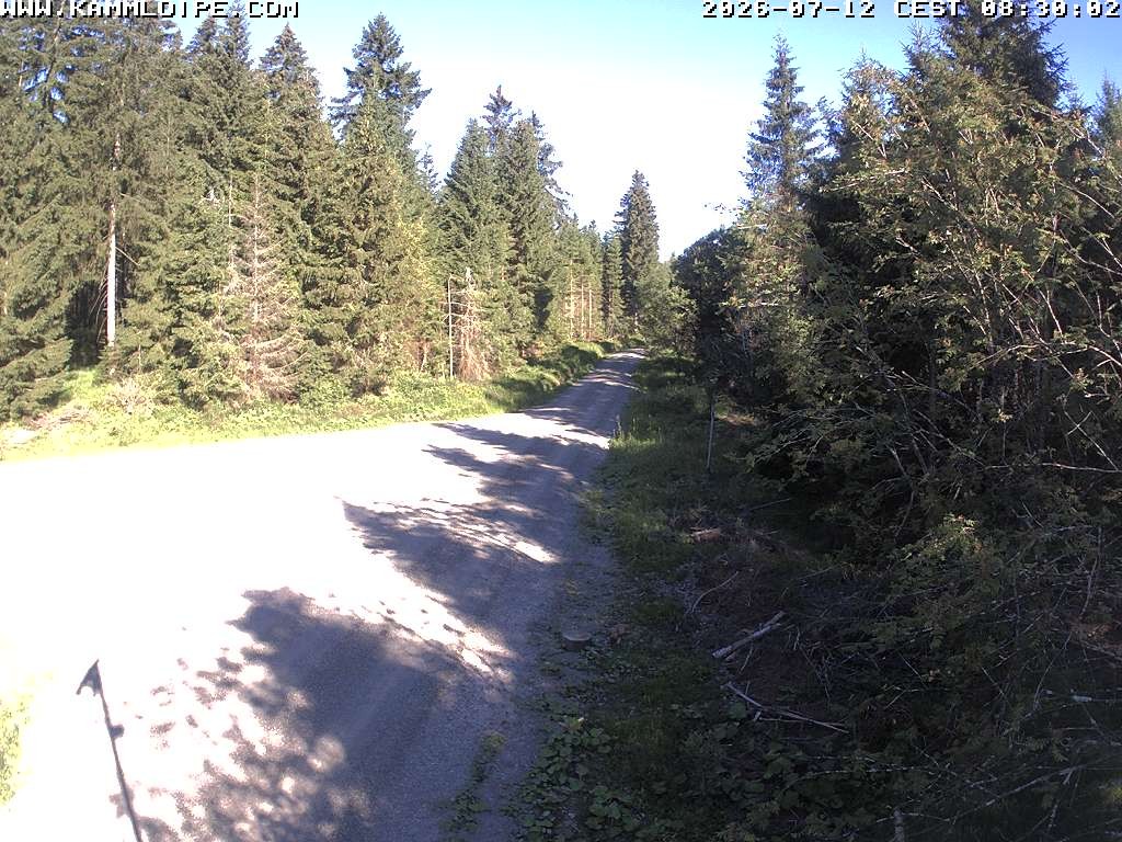 Archived image Webcam Flössweg Carlsfeld