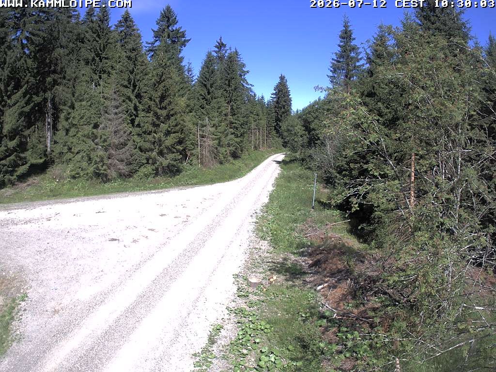 Archived image Webcam Flössweg Carlsfeld