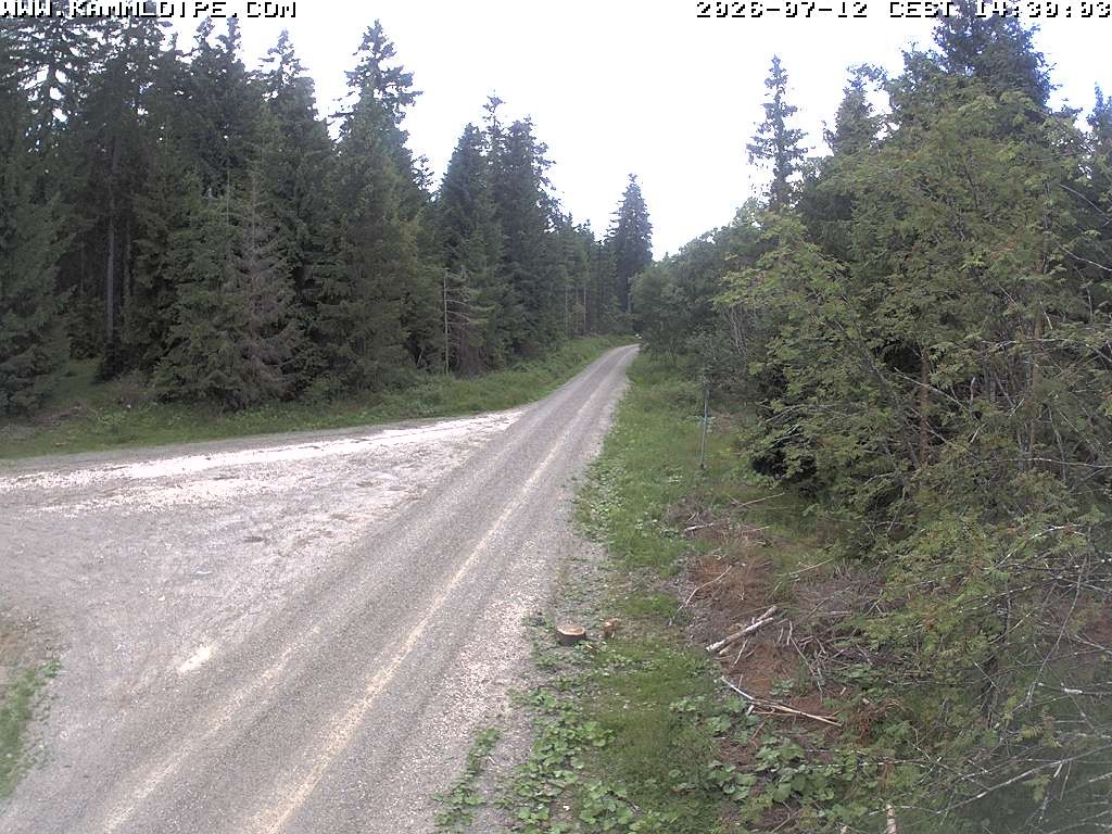 Archived image Webcam Flössweg Carlsfeld