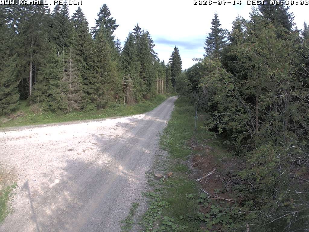 Archiv Foto Webcam Talsperre Carlsfeld