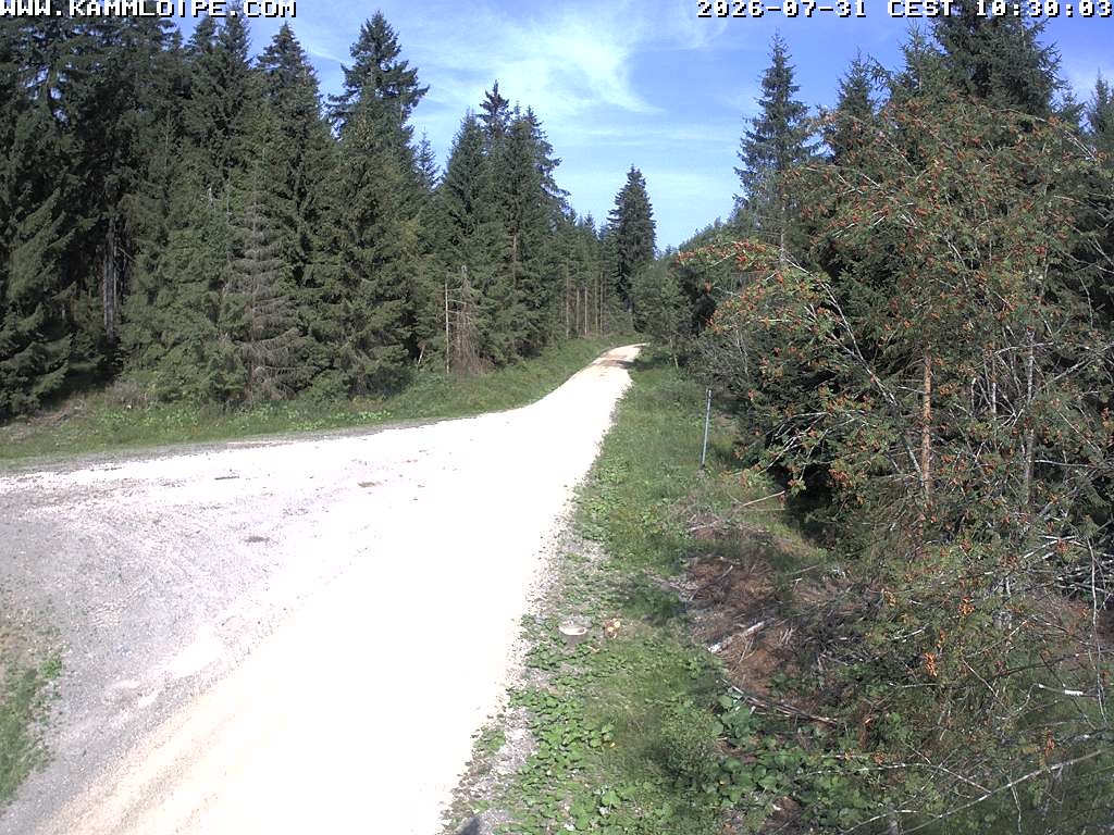 Archiv Foto Webcam Talsperre Carlsfeld