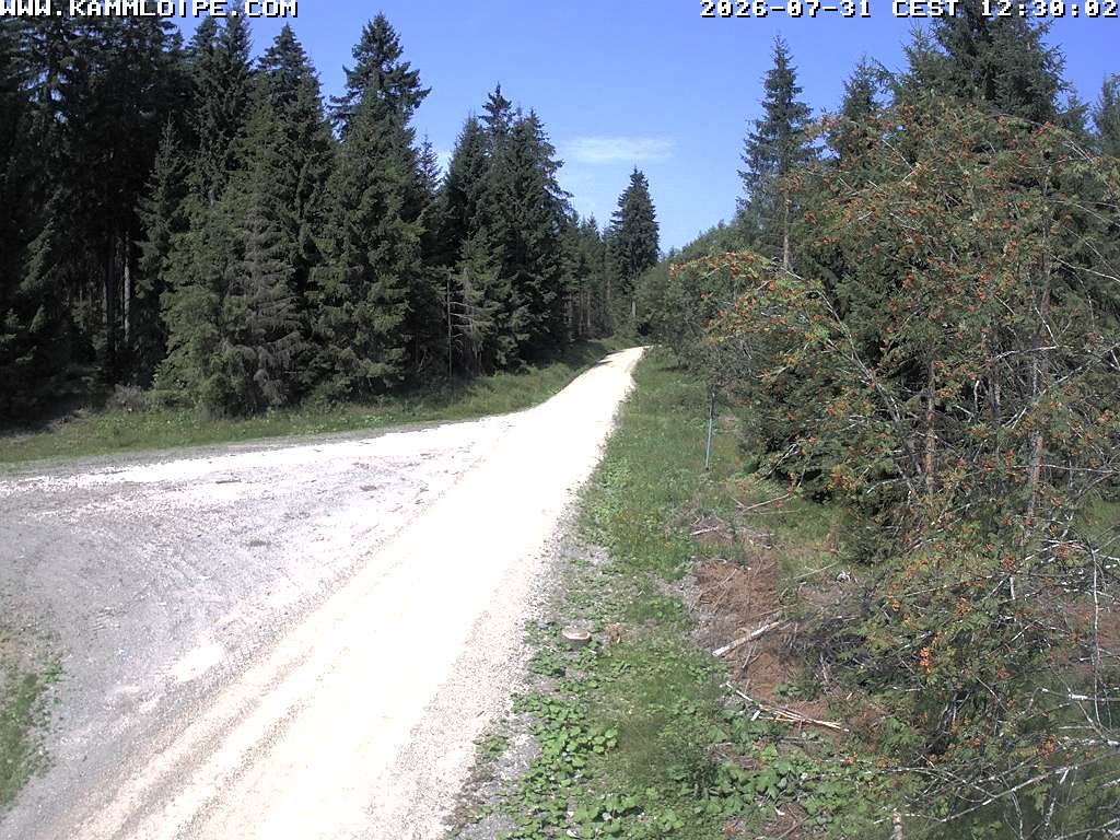 Archiv Foto Webcam Talsperre Carlsfeld