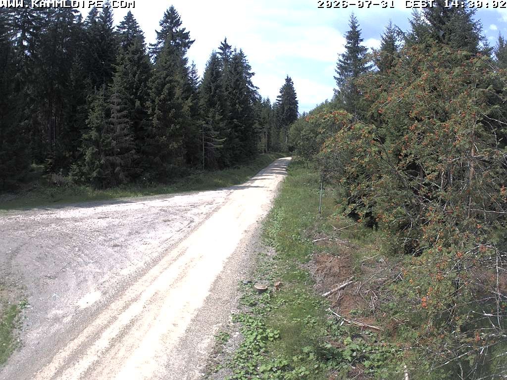 Archiv Foto Webcam Talsperre Carlsfeld