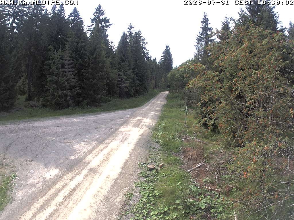 Archiv Foto Webcam Talsperre Carlsfeld