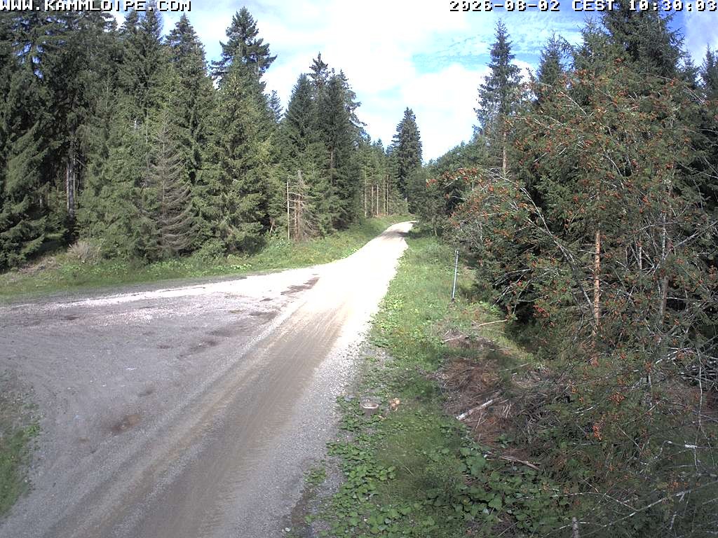 Archiv Foto Webcam Talsperre Carlsfeld