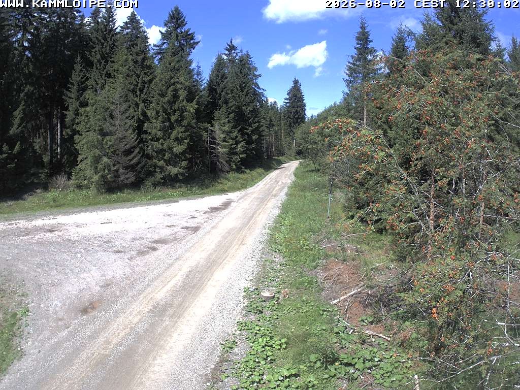 Archiv Foto Webcam Talsperre Carlsfeld