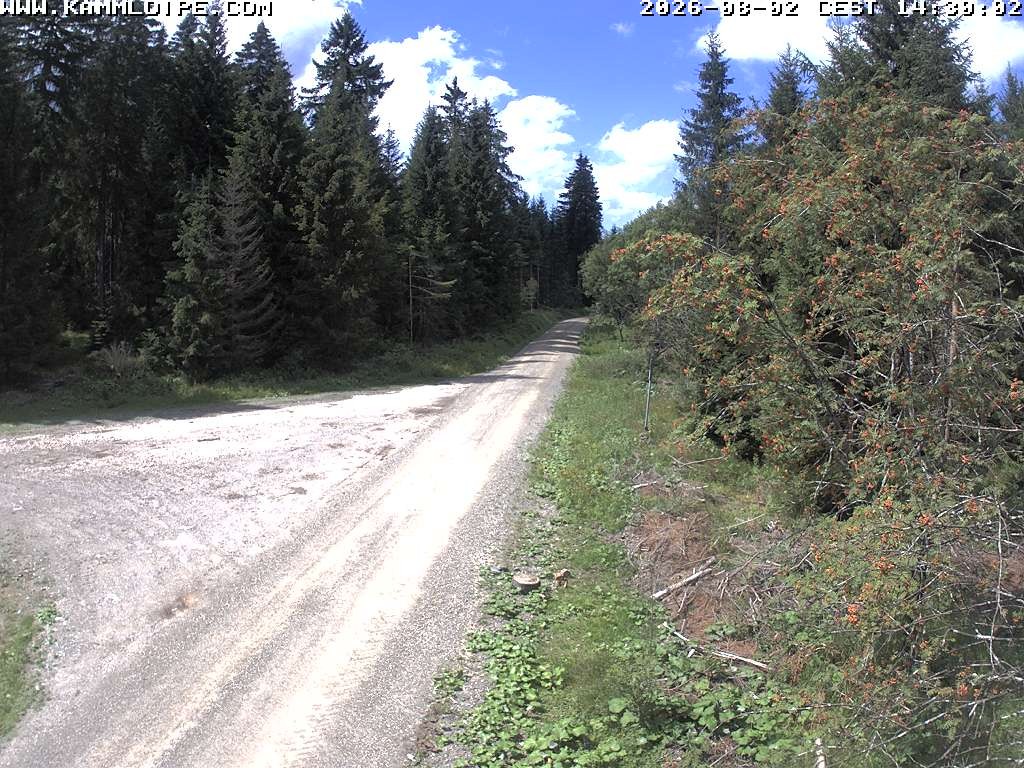 Archiv Foto Webcam Talsperre Carlsfeld