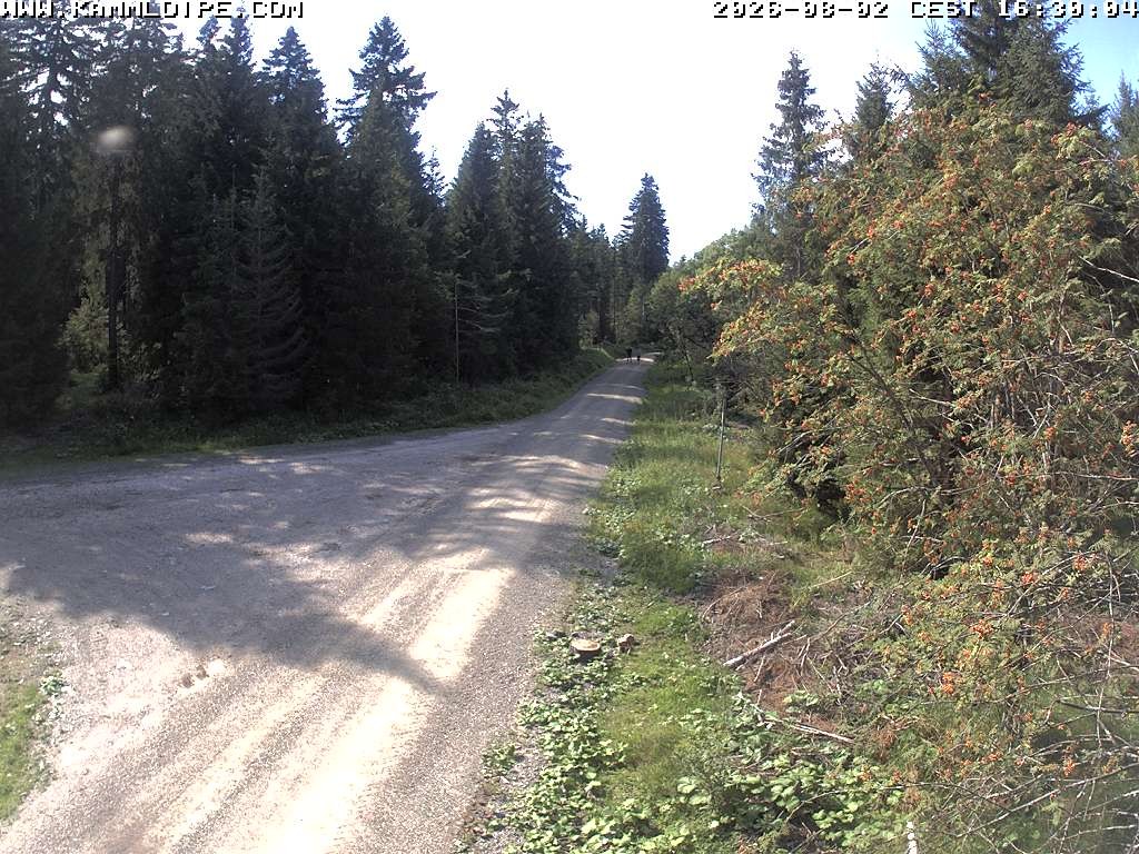 Archiv Foto Webcam Talsperre Carlsfeld