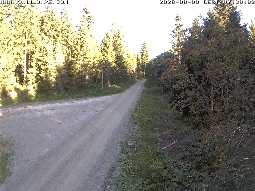 Archiv Foto Webcam Talsperre Carlsfeld