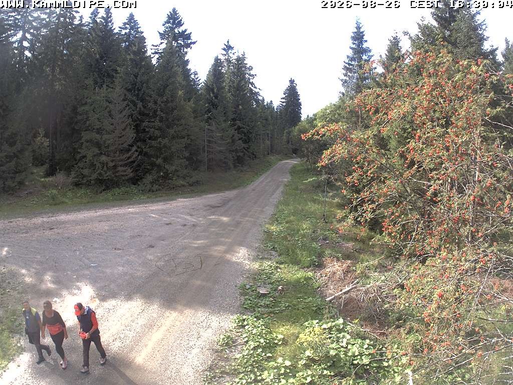 Archived image Webcam Flössweg Carlsfeld