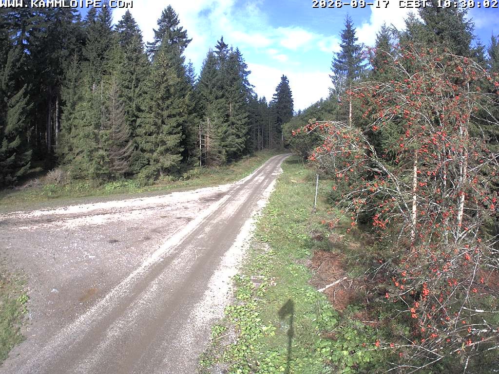 Archiv Foto Webcam Talsperre Carlsfeld