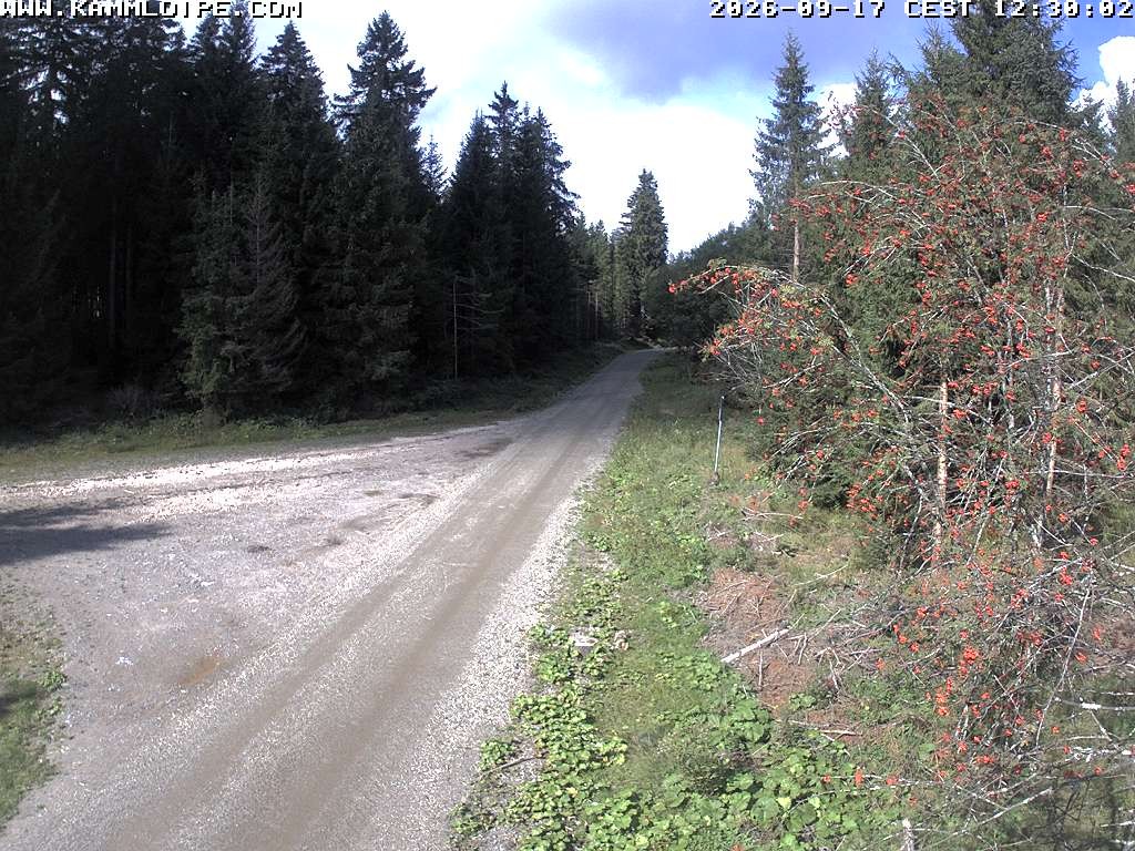 Archiv Foto Webcam Talsperre Carlsfeld
